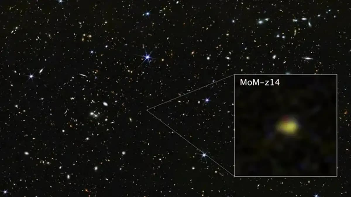 Neuer James-Webb-Rekord: Die am weitesten entfernte Galaxie MoM-z14 entdeckt
