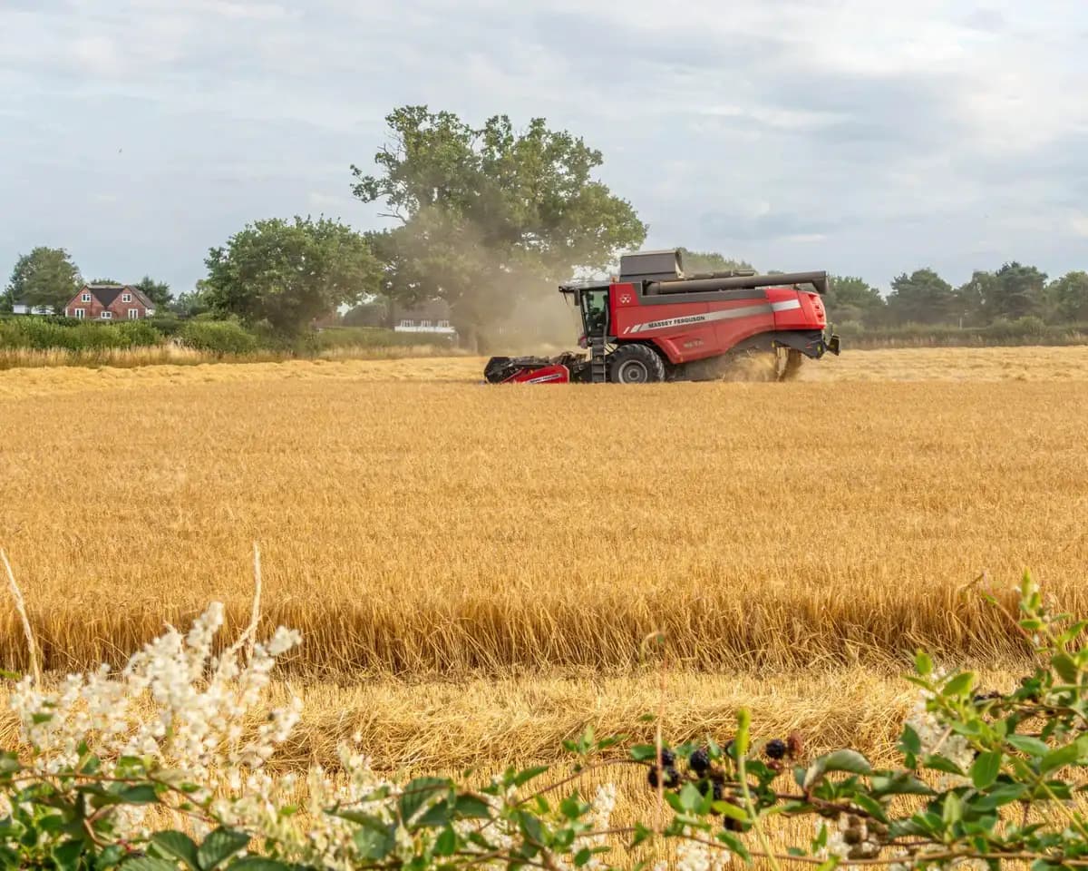 CO2-Belastung: Versteckter Hunger durch nährstoffarme Ernten