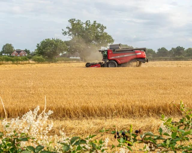 CO2-Belastung: Versteckter Hunger durch nährstoffarme Ernten
