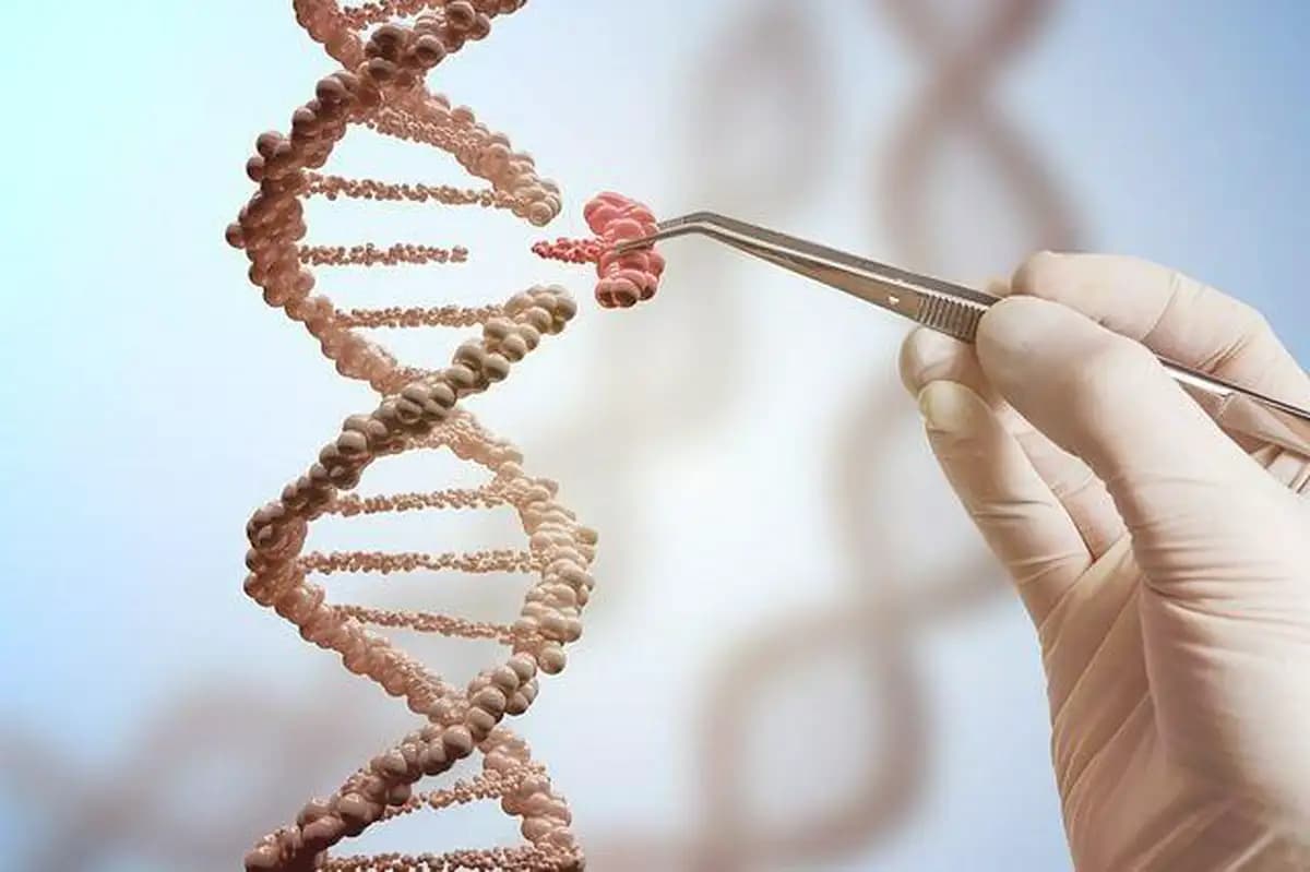 Neues CRISPR-System zur Bakterienkontrolle ohne DNA-Schnitt
