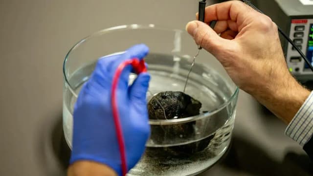 Auf der Spur des dunklen Sauerstoffs: Expedition in 11 km Tiefe