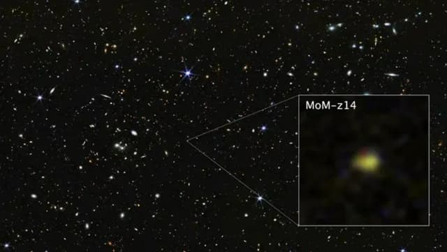 Neuer James-Webb-Rekord: Die am weitesten entfernte Galaxie MoM-z14 entdeckt